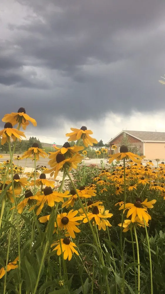 Local lawn care service in Crested Butte, CO - Never Summer Landscape