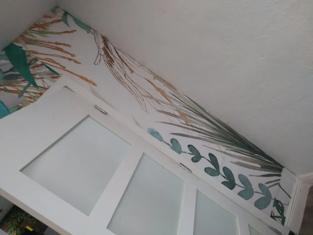 Affordable lawn mowing service for beautiful yards across Fort Lauderdale, FL - Never Yielding Group