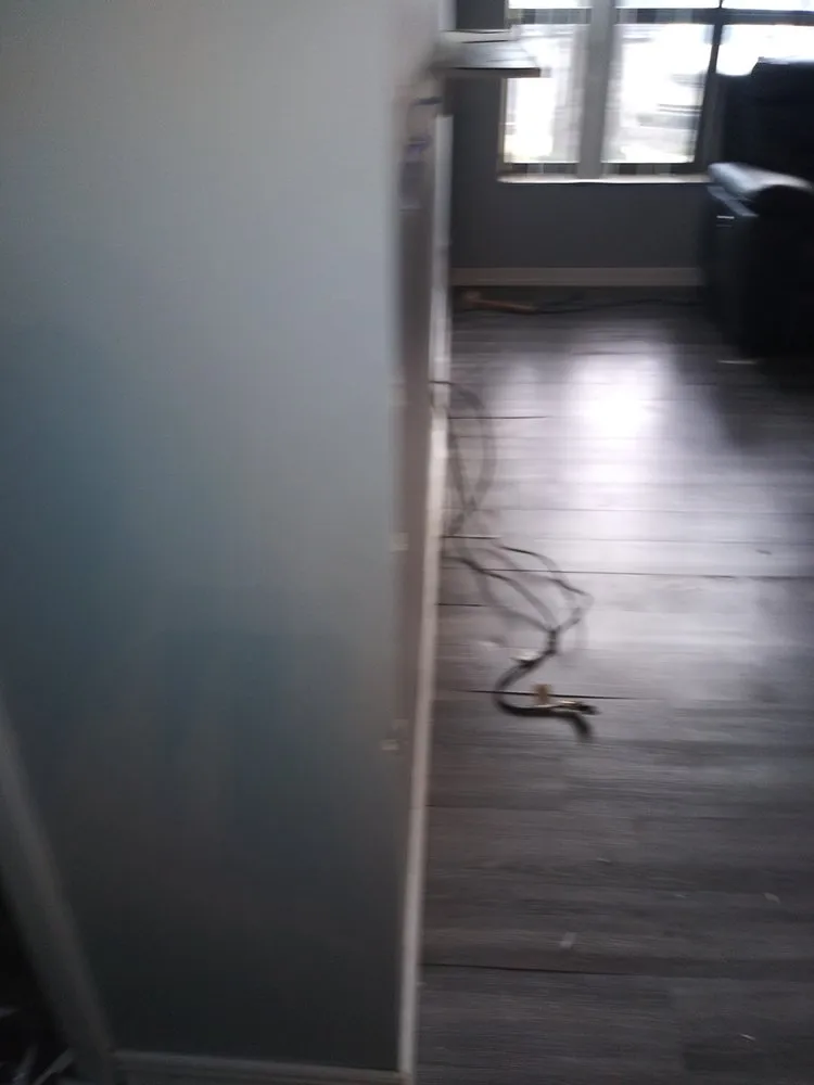 Affordable yard maintenance for year-round maintenance in Fort Lauderdale, FL by Never Yielding Group