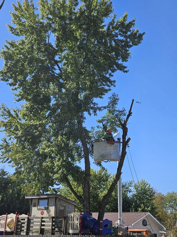 Trusted landscape installation in Indianapolis, IN - Nevers Tree Service