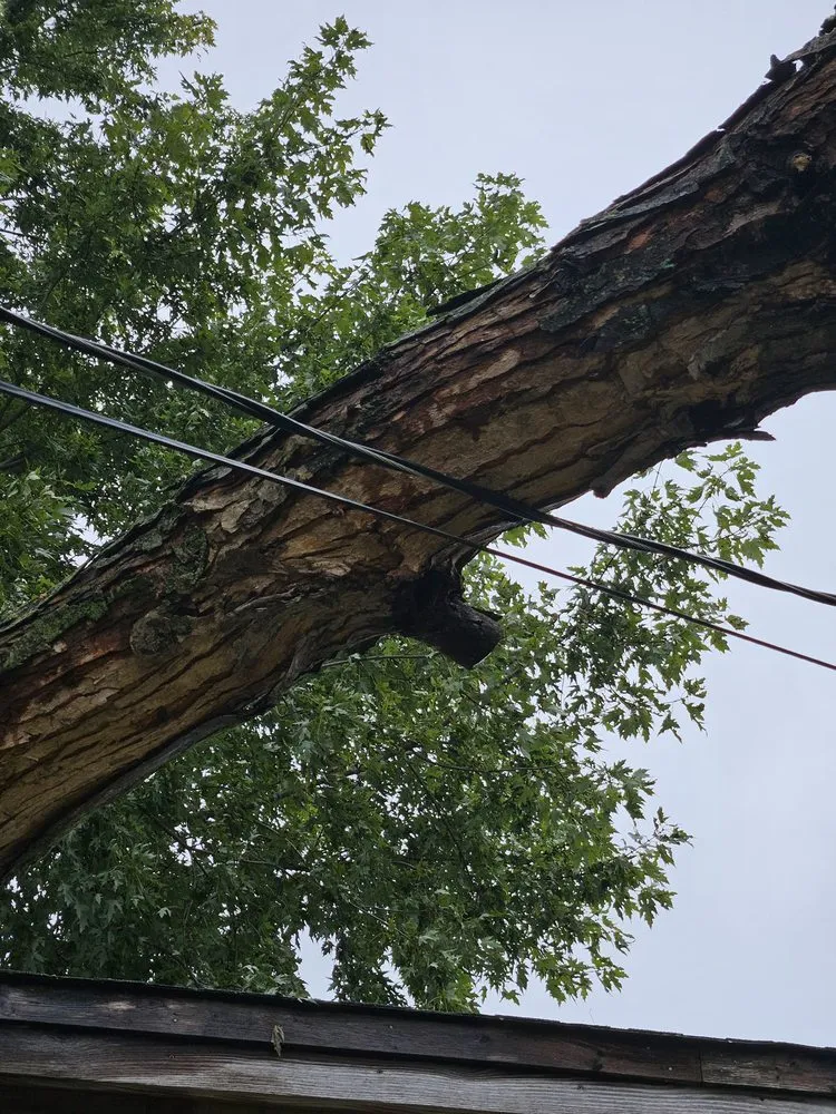 Top-rated residential landscaping for homes in Indianapolis, IN by Nevers Tree Service