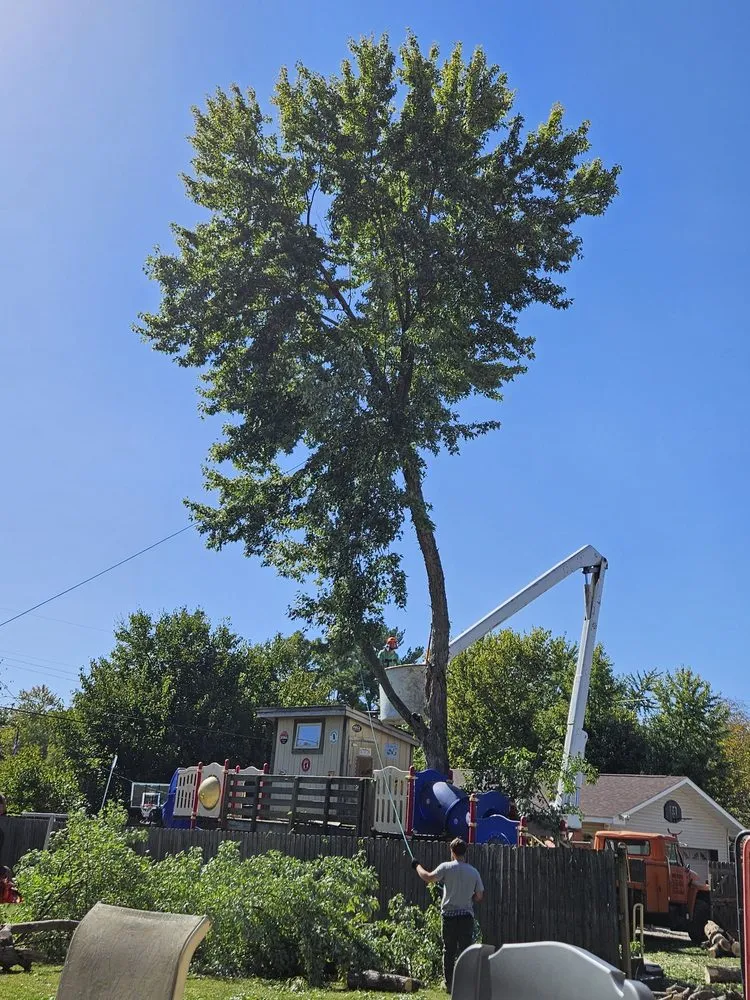 Affordable outdoor landscaping in Indianapolis, IN by Nevers Tree Service