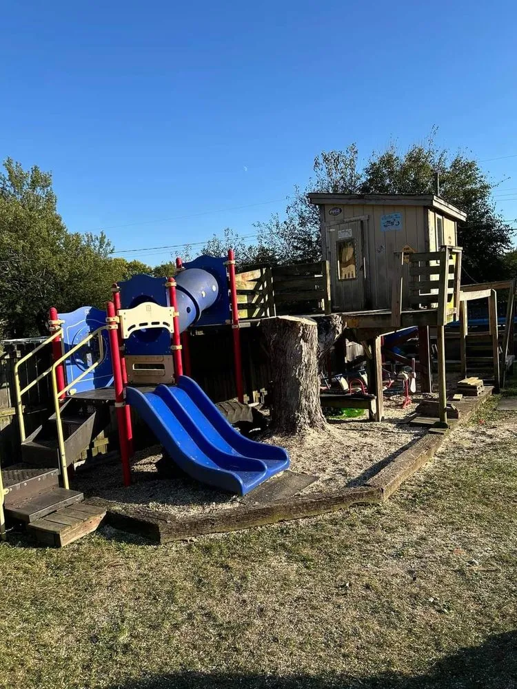 Expert landscaping services in Indianapolis, IN by Nevers Tree Service