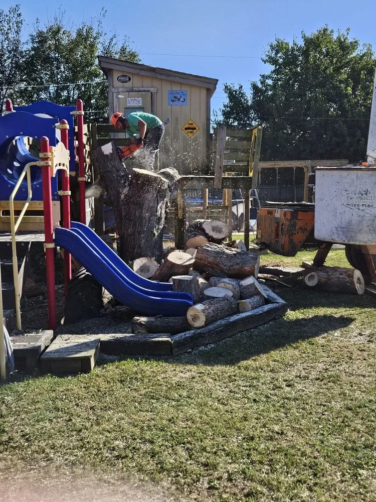 Reliable landscape installation experts serving Indianapolis, IN - Nevers Tree Service