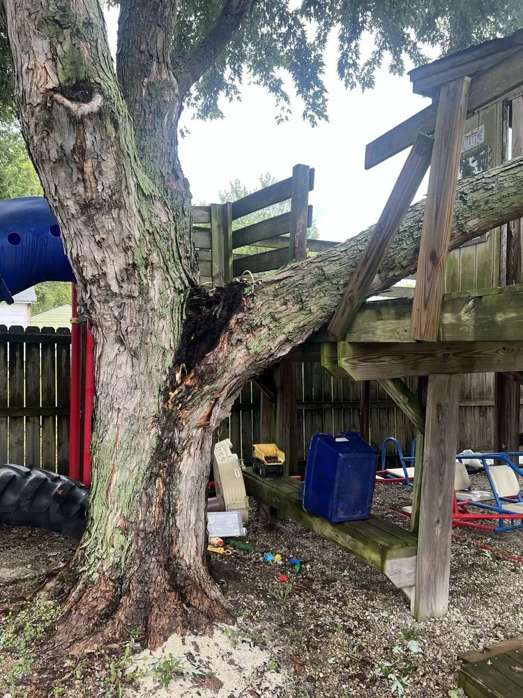 Trusted landscaping services experts serving Indianapolis, IN - Nevers Tree Service