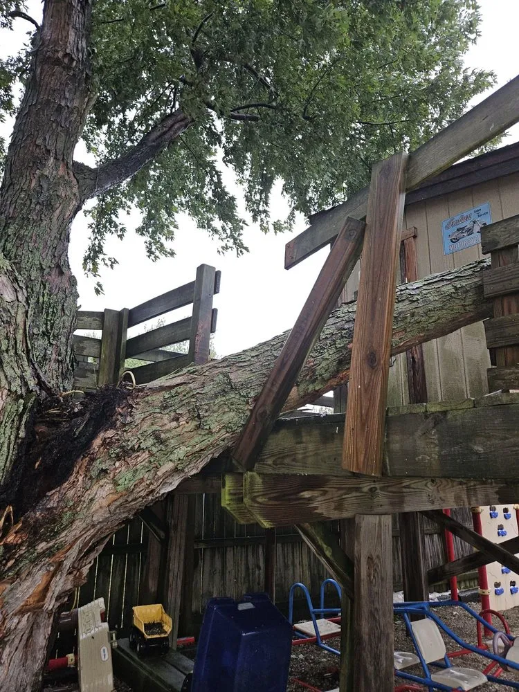 Affordable landscape design for homes across Indianapolis, IN - Nevers Tree Service