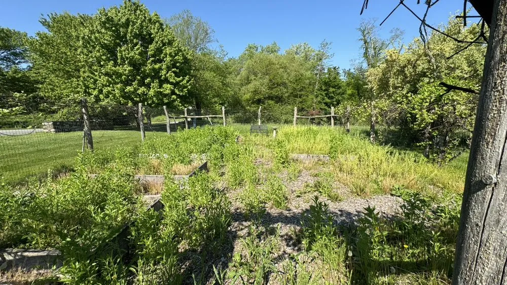 Trusted yard cleanup service experts serving Bethel, CT - Neves Landscaping Services