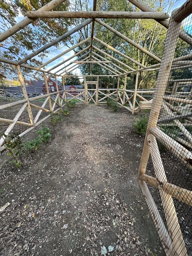 Professional landscaping services in Bethel, CT - Neves Landscaping Services