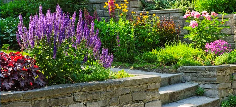 Top-rated landscape design for homes in Holland, OH by Neville Landscape & Tree Services