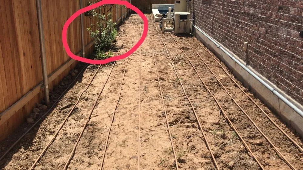 Expert outdoor landscaping in Dripping Springs, TX - Nevitt Irrigation Services