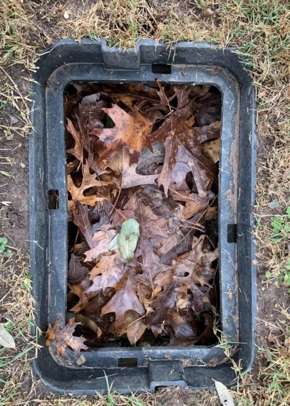 Reliable landscape installation for residential properties across Dripping Springs, TX - Nevitt Irrigation Services