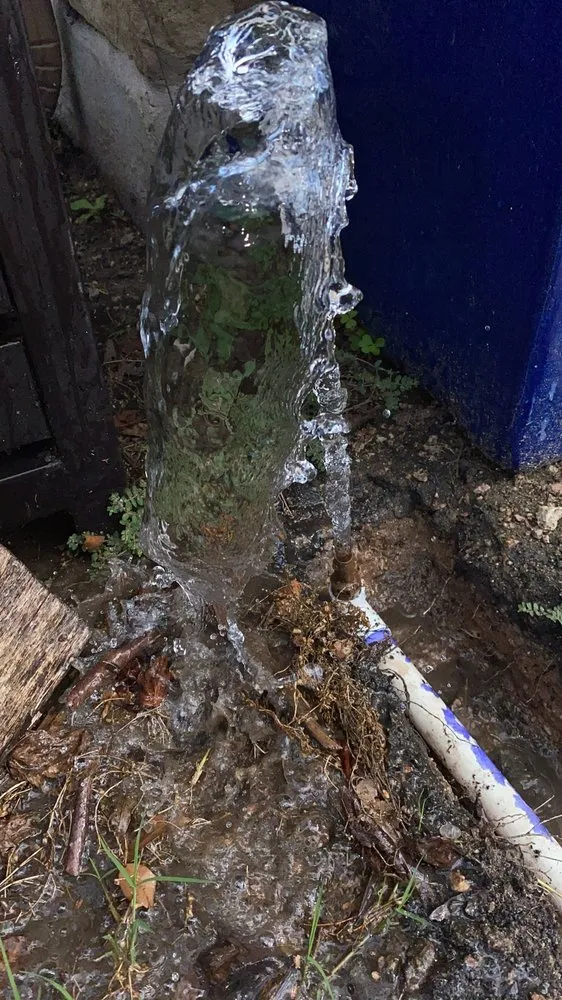 Top-rated outdoor landscaping for year-round maintenance in Dripping Springs, TX by Nevitt Irrigation Services