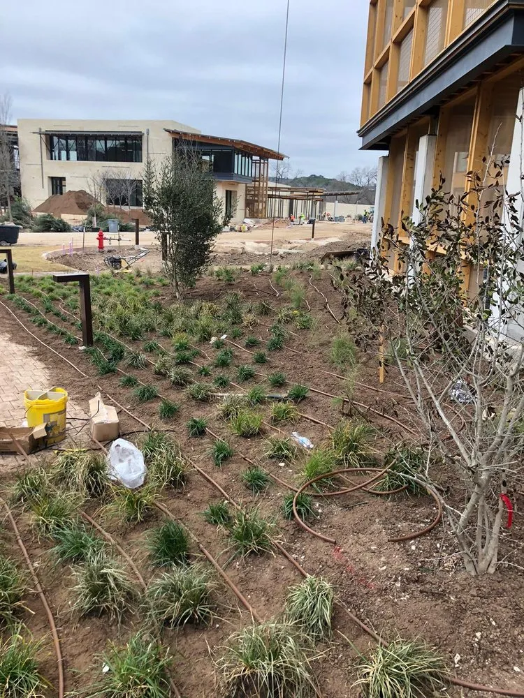 Top-rated lawn care service for year-round maintenance across Dripping Springs, TX - Nevitt Irrigation Services