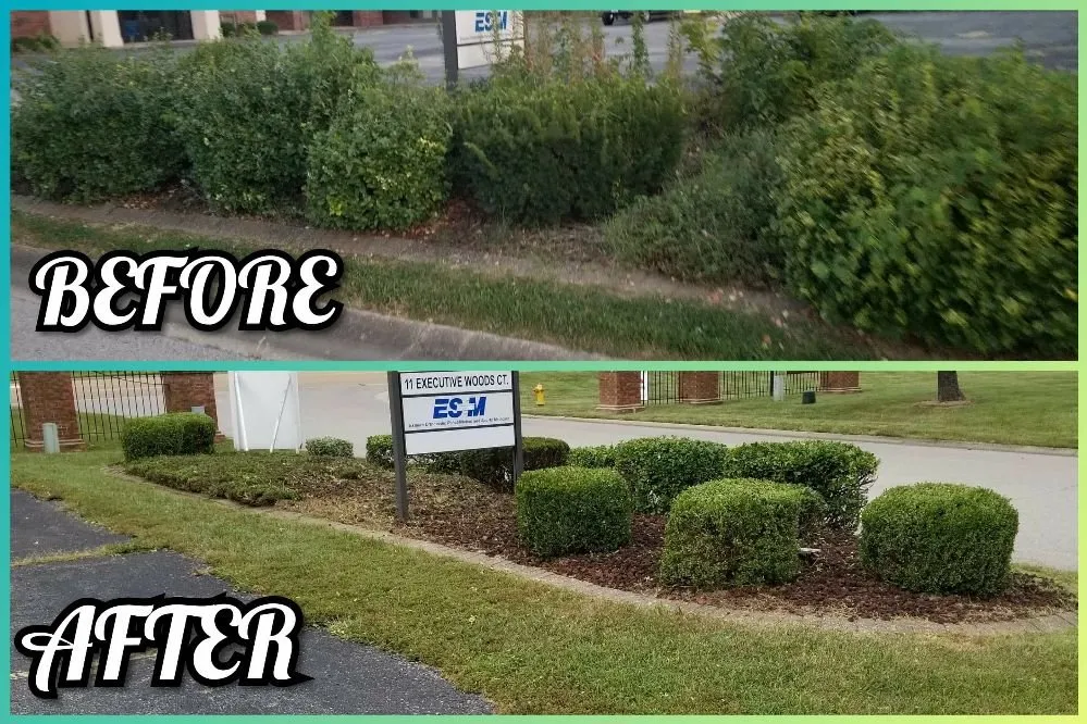 Expert garden landscaping in Columbia, IL by New Again Power Washing