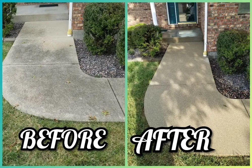 Expert landscaping services in Columbia, IL - New Again Power Washing