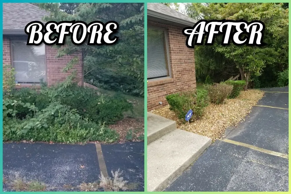 Professional yard maintenance for year-round maintenance across Columbia, IL - New Again Power Washing