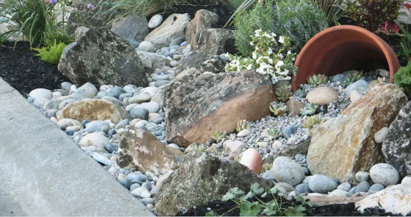 Top-rated residential landscaping for homes across Eastville ca, CA - New Age Landscaping & Irrigation