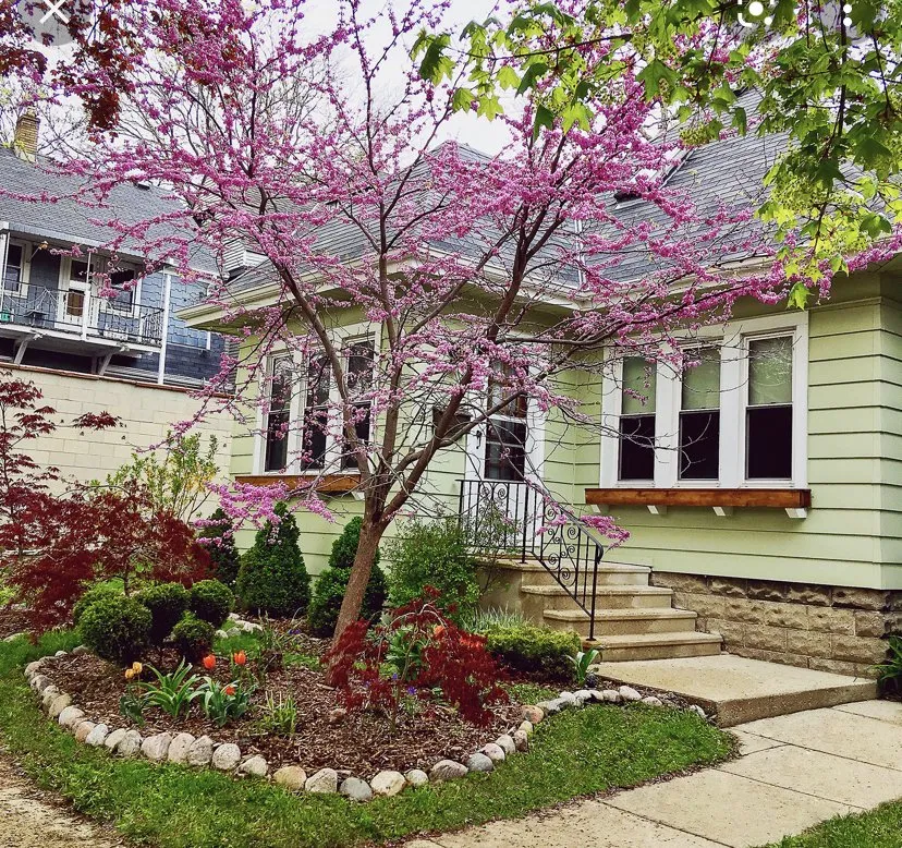 Custom lawn care service for homes in Eastville ca, CA by New Age Landscaping & Irrigation