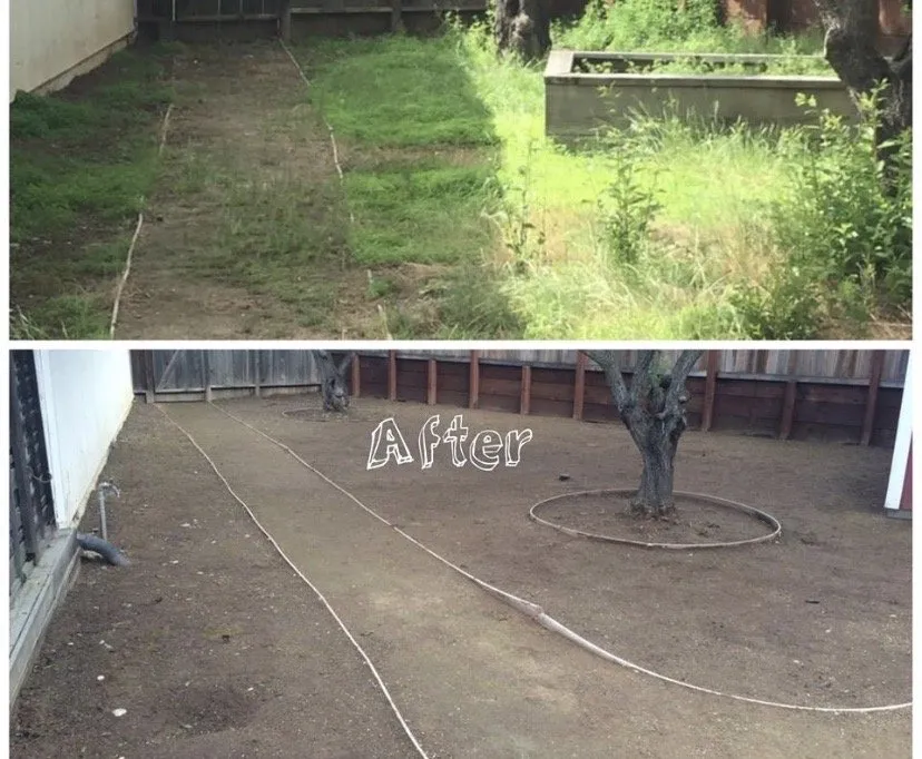 Local lawn mowing service in Eastville ca, CA by New Age Landscaping & Irrigation