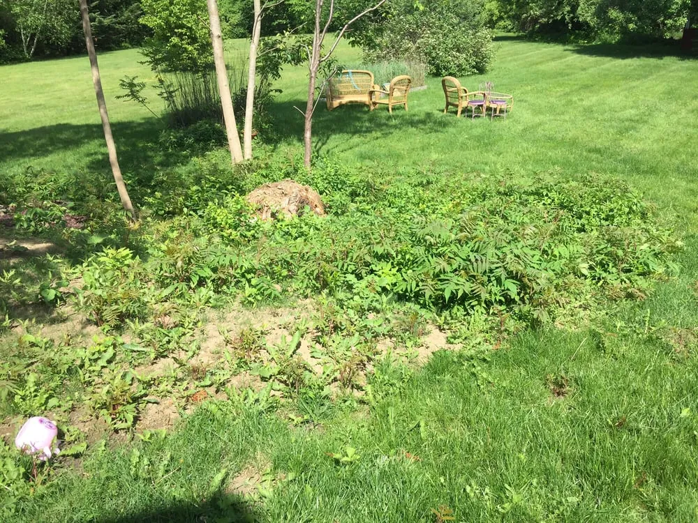 Professional landscaping services in Athol, MA by New Age Landscaping & Tree