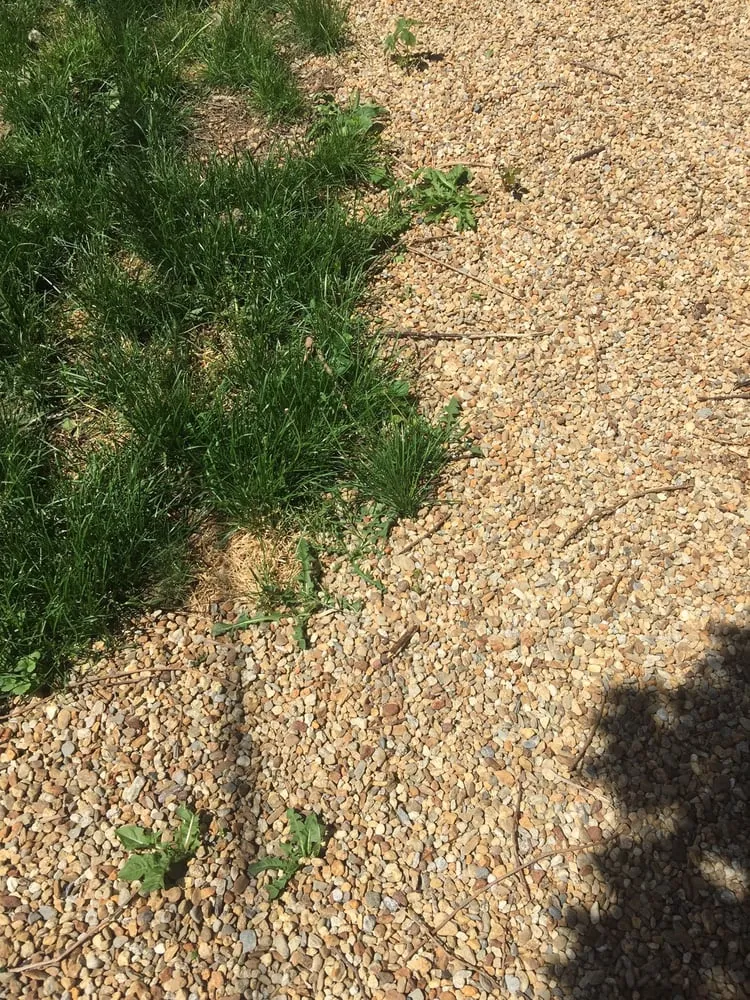 Professional landscaping services experts serving Athol, MA - New Age Landscaping & Tree