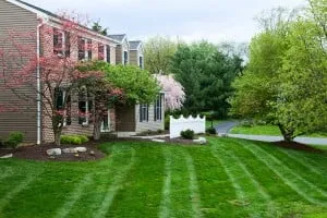 Professional garden landscaping for residential properties across Athol, MA - New Age Landscaping & Tree