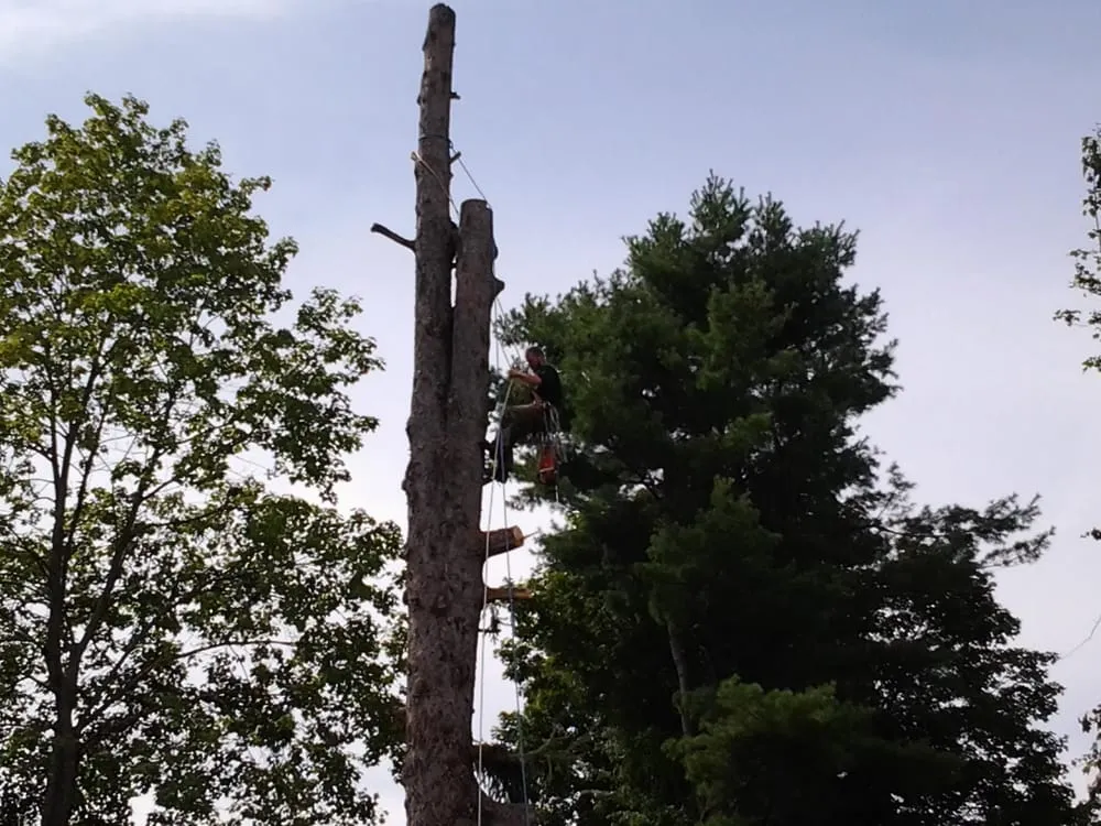 Top-rated outdoor landscaping in Athol, MA by New Age Landscaping & Tree