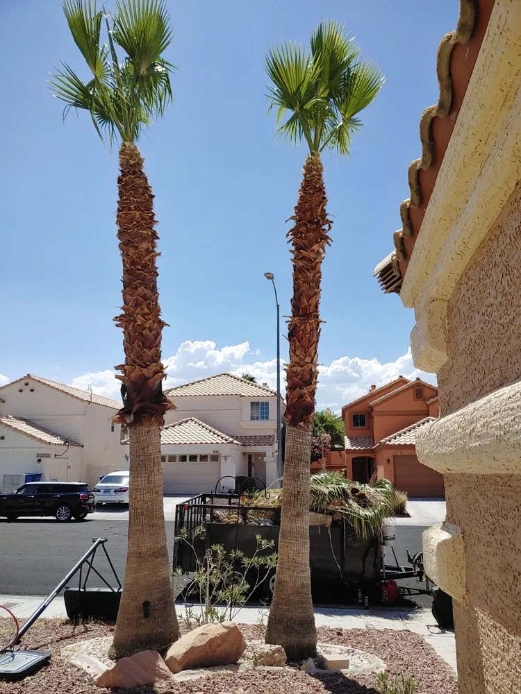 Expert lawn mowing service in Las Vegas, NV by New Age Landscaping