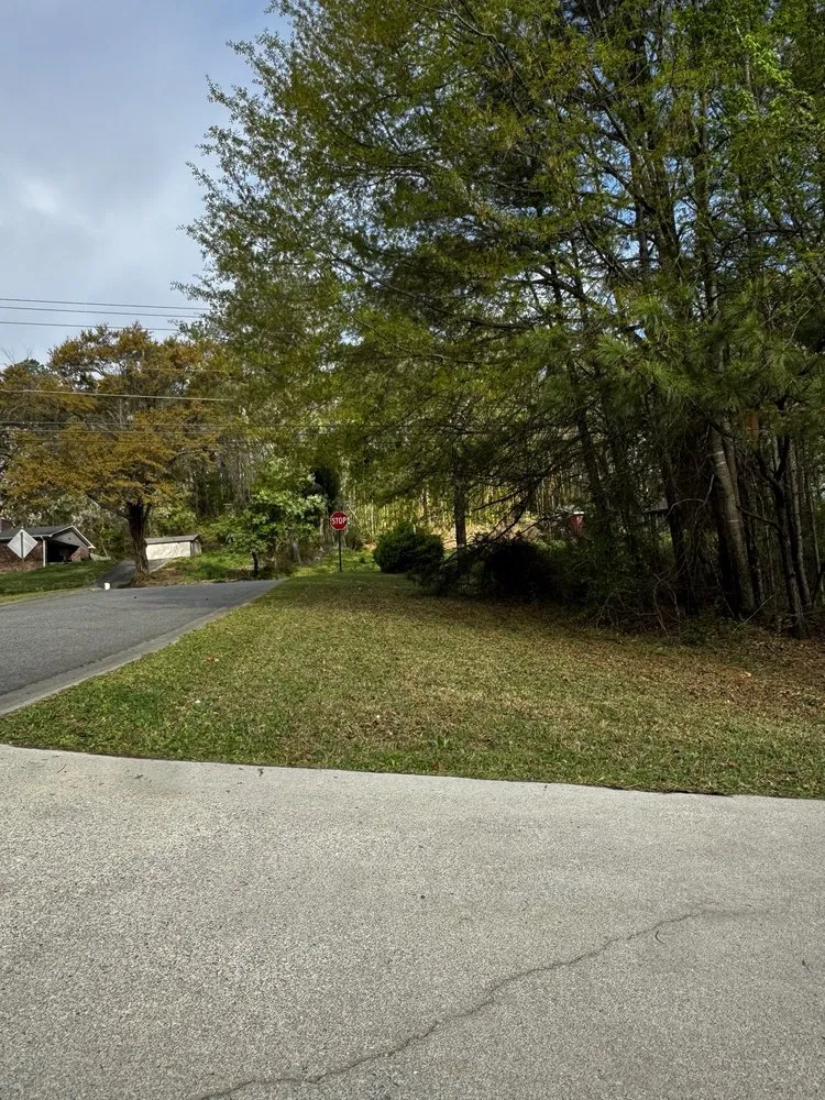 Professional outdoor landscaping with custom design across Cartersville, GA - New Age Lawn Care