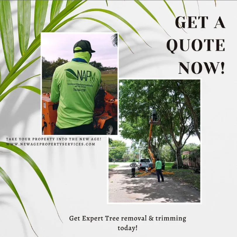 Local garden landscaping in Hollywood, FL - New Age Property Maintenance