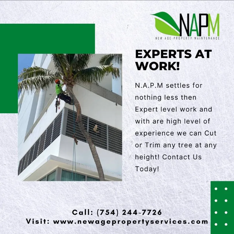 Top-rated residential landscaping in Hollywood, FL - New Age Property Maintenance
