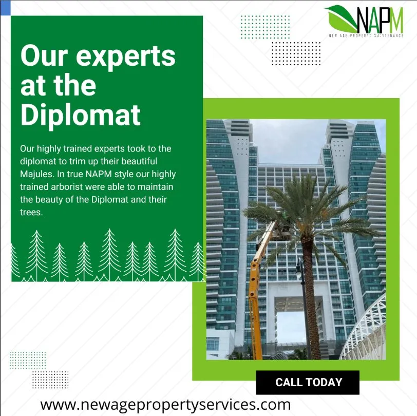 Top-rated landscape design in Hollywood, FL by New Age Property Maintenance