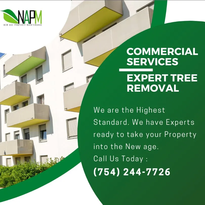 Expert residential landscaping experts serving Hollywood, FL - New Age Property Maintenance