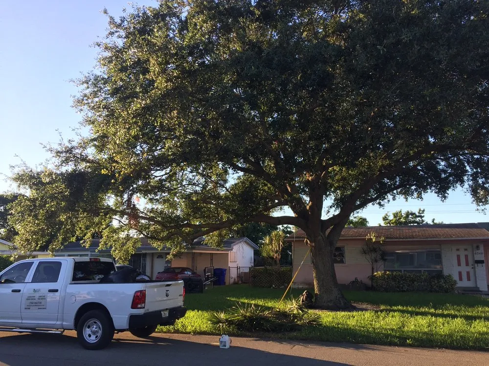 Trusted landscape installation in Hollywood, FL - New Age Property Maintenance