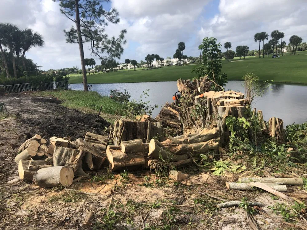 Top-rated outdoor landscaping for outdoor upgrades across Hollywood, FL - New Age Property Maintenance