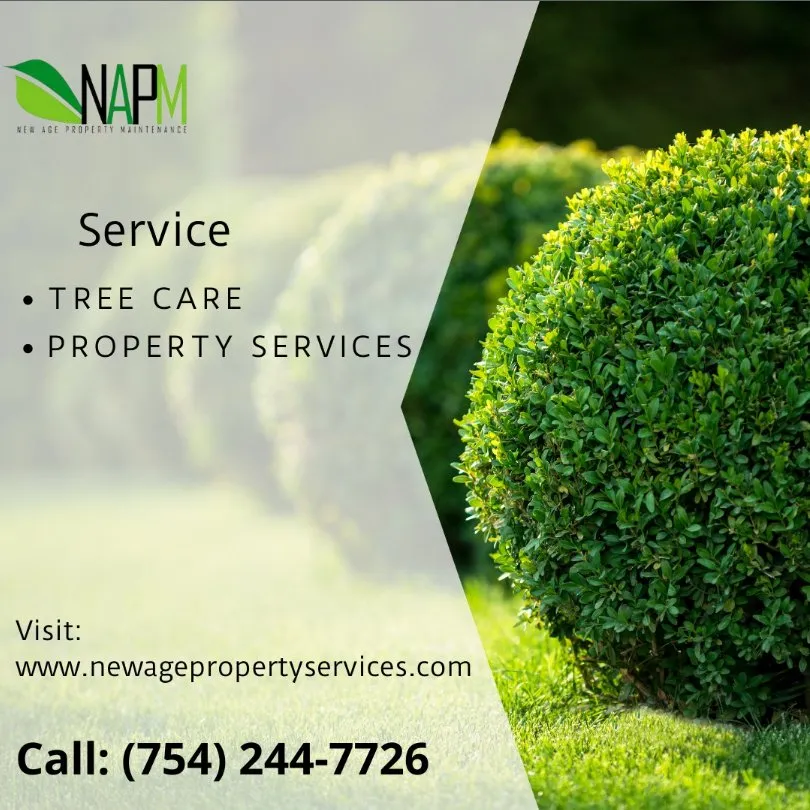Trusted residential landscaping for outdoor upgrades in Hollywood, FL by New Age Property Maintenance