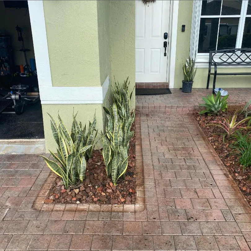 Top-rated yard cleanup service for outdoor upgrades across Hollywood, FL - New Age Property Maintenance