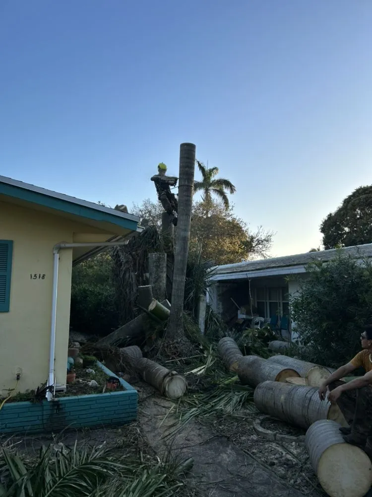 Reliable landscape design for year-round maintenance across Hollywood, FL - New Age Property Maintenance