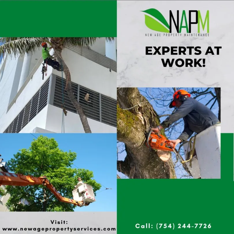 Top-rated outdoor landscaping in Hollywood, FL - New Age Property Maintenance