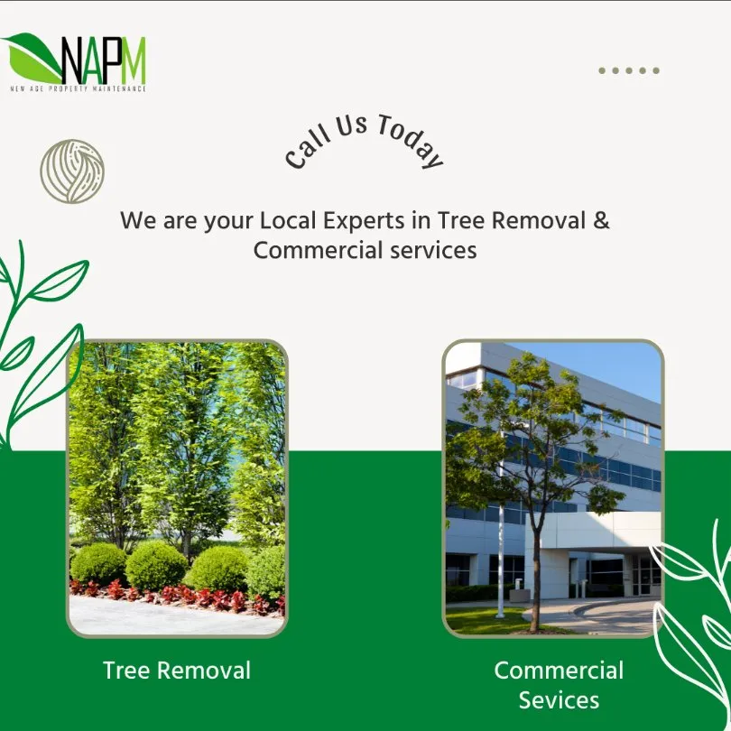 Custom lawn care service experts serving Hollywood, FL - New Age Property Maintenance