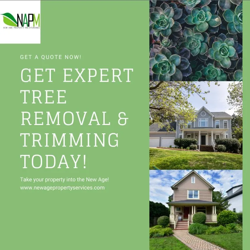 Local lawn mowing service in Hollywood, FL by New Age Property Maintenance