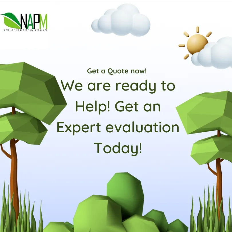 Top-rated outdoor landscaping in Hollywood, FL - New Age Property Maintenance