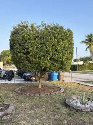 New Age Property Maintenance Logo