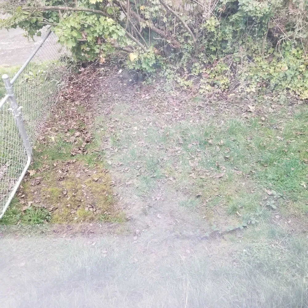 Top-rated residential landscaping experts serving Tukwila, WA - New Beginning Garden and Lawn Care