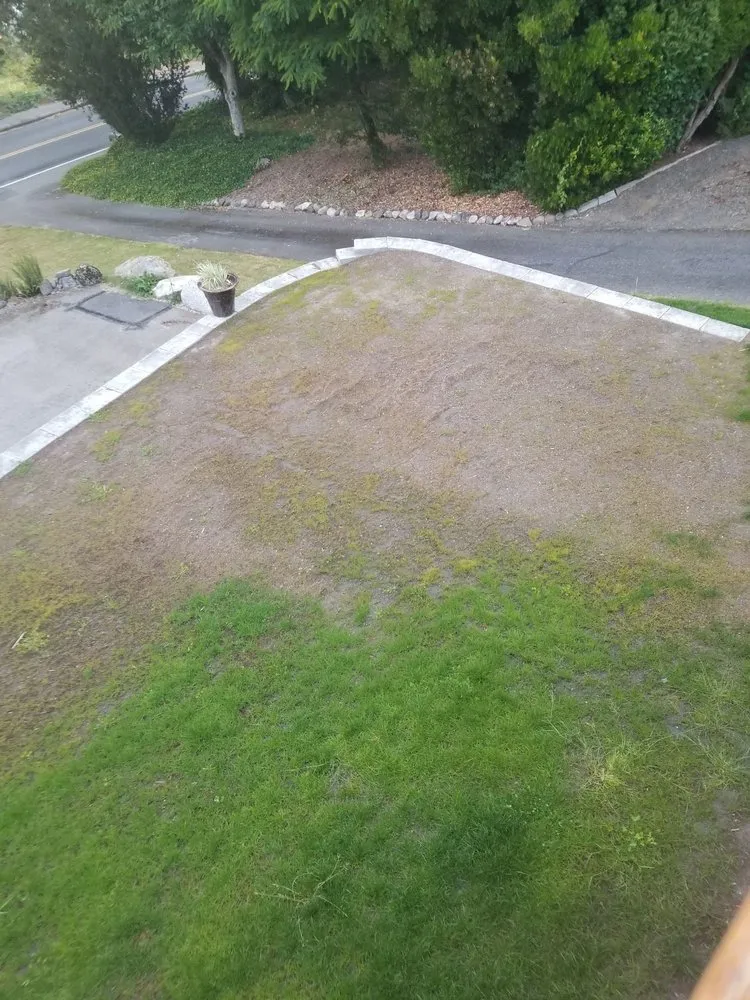 Trusted landscaping services experts serving Tukwila, WA - New Beginning Garden and Lawn Care