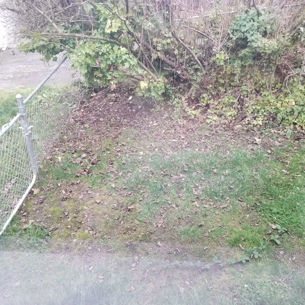 Custom garden landscaping for outdoor upgrades in Tukwila, WA by New Beginning Garden and Lawn Care