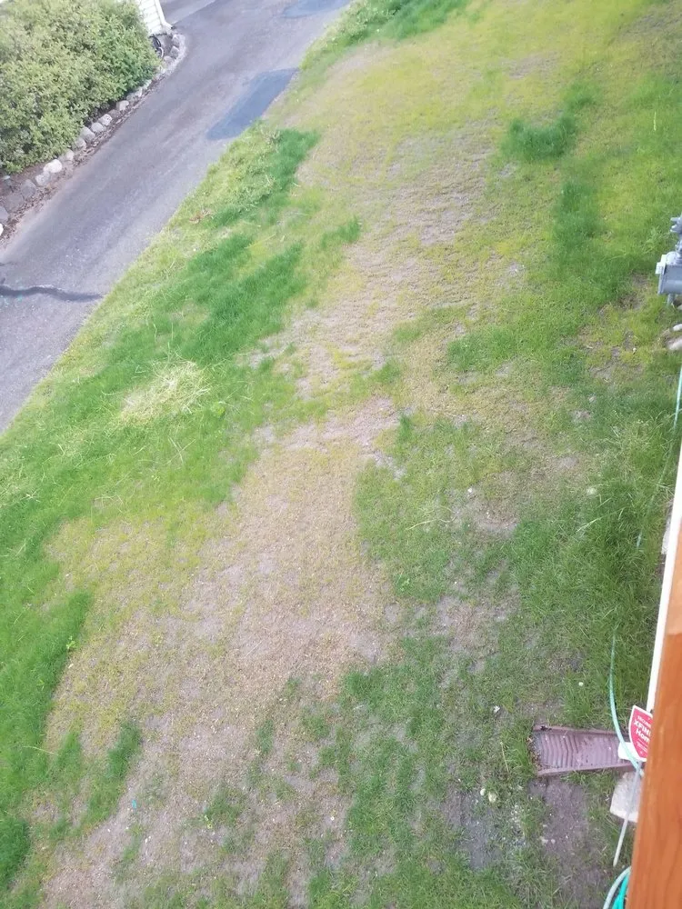 Top-rated yard maintenance experts serving Tukwila, WA - New Beginning Garden and Lawn Care