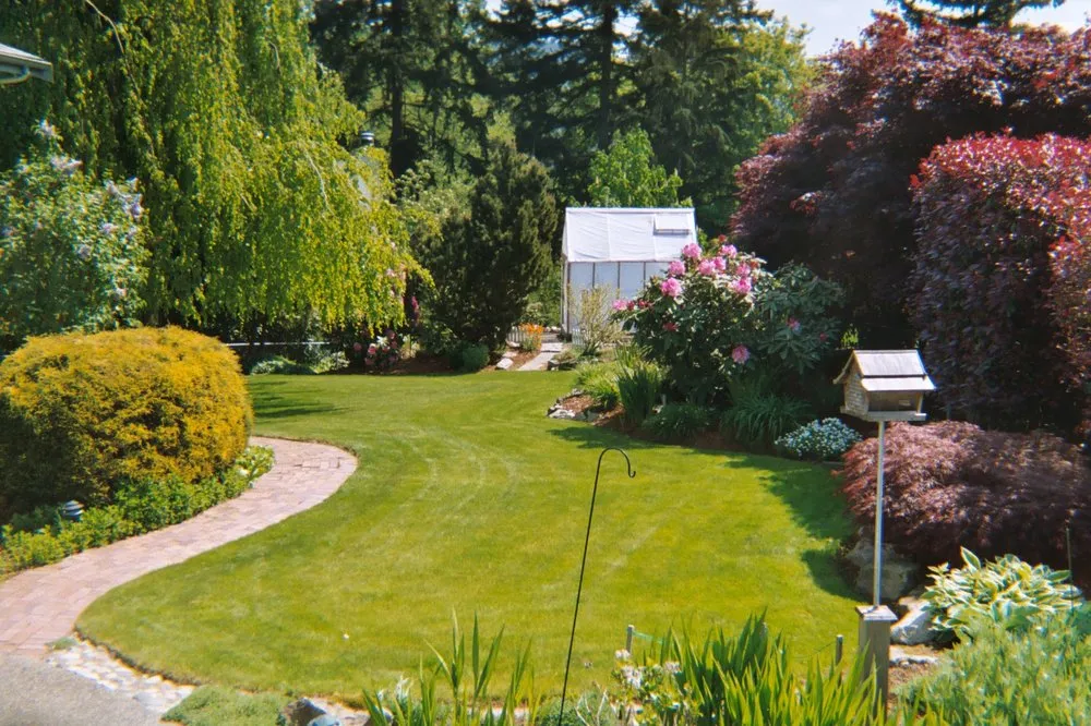 Reliable lawn mowing service in Tukwila, WA by New Beginning Garden and Lawn Care