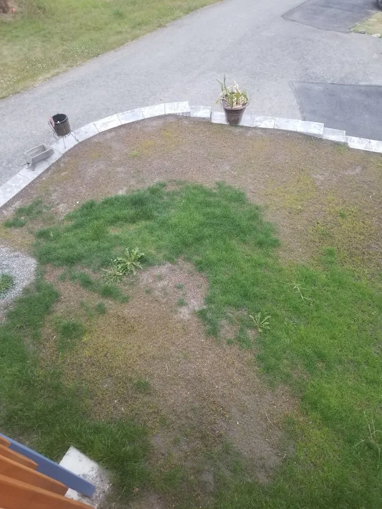 Custom landscaping services with custom design across Tukwila, WA - New Beginning Garden and Lawn Care