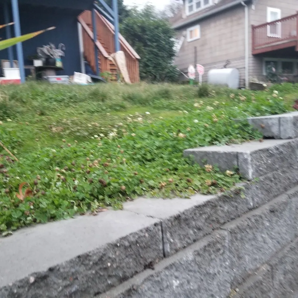 Affordable lawn mowing service for outdoor upgrades in Tukwila, WA by New Beginning Garden and Lawn Care